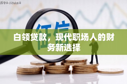 桐城白领贷款，现代职场人的财务新选择