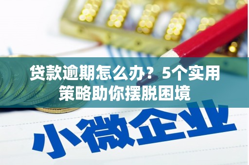 桐城贷款逾期怎么办？5个实用策略助你摆脱困境