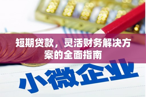 桐城短期贷款，灵活财务解决方案的全面指南