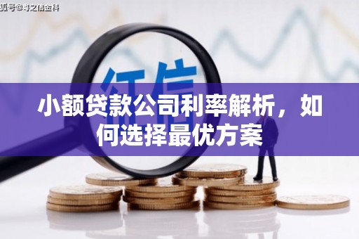 桐城小额贷款公司利率解析，如何选择最优方案