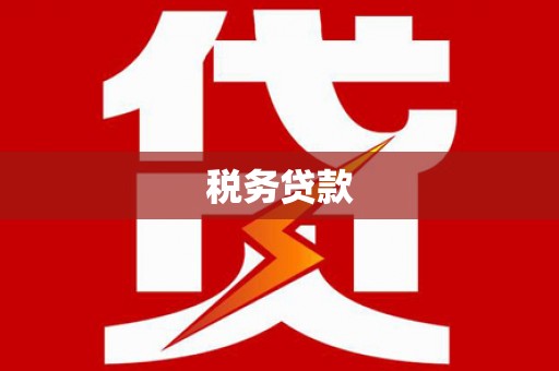 桐城税务贷款