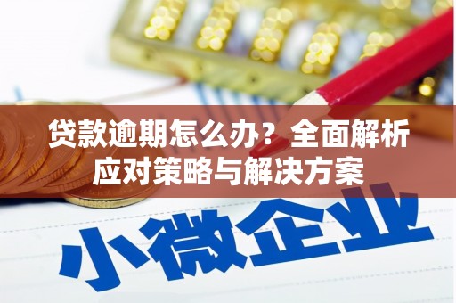 桐城贷款逾期怎么办？全面解析应对策略与解决方案