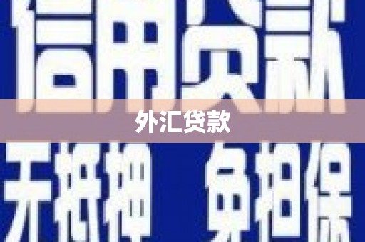 桐城外汇贷款