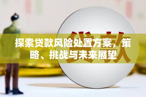 桐城探索贷款风险处置方案，策略、挑战与未来展望