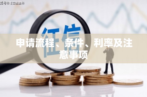 桐城申请流程、条件、利率及注意事项