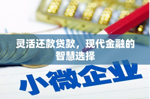 桐城灵活还款贷款，现代金融的智慧选择