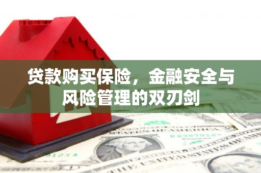 桐城贷款购买保险，金融安全与风险管理的双刃剑