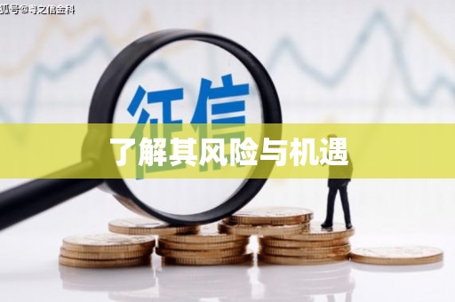 桐城了解其风险与机遇