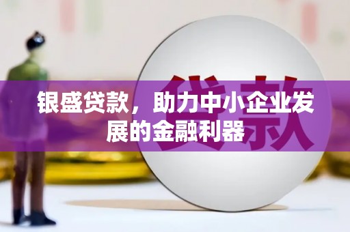 桐城银盛贷款，助力中小企业发展的金融利器