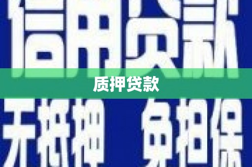 桐城质押贷款