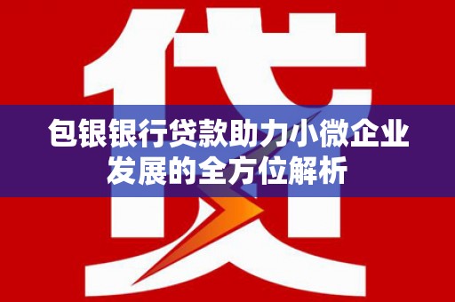 桐城包银银行贷款助力小微企业发展的全方位解析