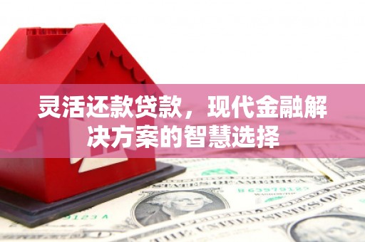 桐城灵活还款贷款，现代金融解决方案的智慧选择