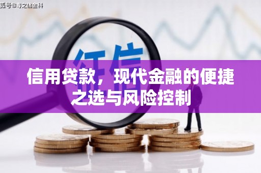 桐城信用贷款，现代金融的便捷之选与风险控制