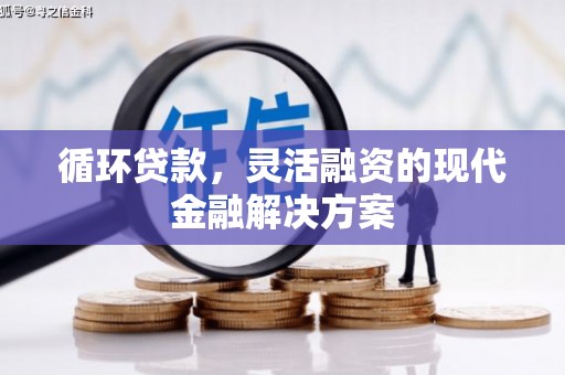 桐城循环贷款，灵活融资的现代金融解决方案