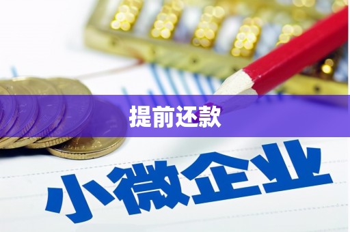 桐城提前还款