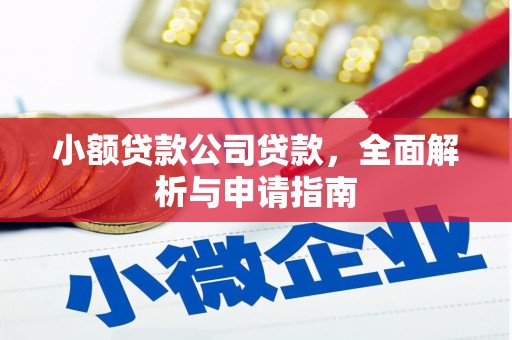 桐城小额贷款公司贷款，全面解析与申请指南