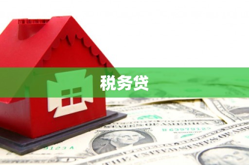 桐城税务贷