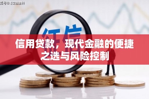 桐城信用贷款，现代金融的便捷之选与风险控制