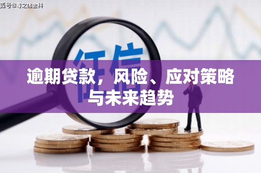 桐城逾期贷款，风险、应对策略与未来趋势