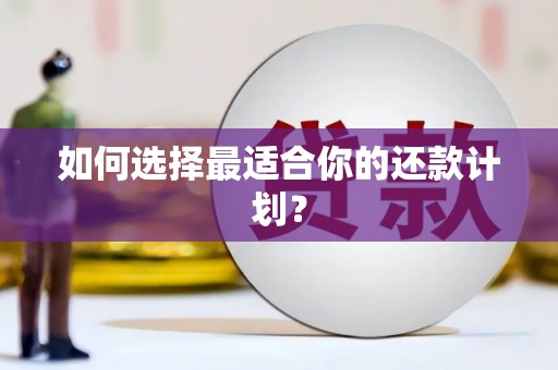 桐城如何选择最适合你的还款计划？