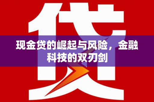 桐城现金贷的崛起与风险，金融科技的双刃剑