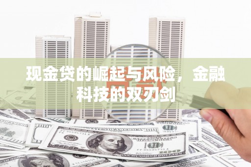 桐城现金贷的崛起与风险，金融科技的双刃剑