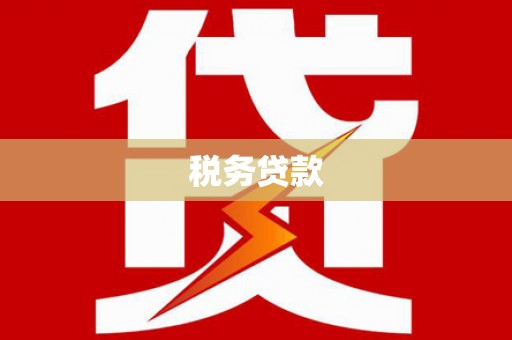 桐城税务贷款