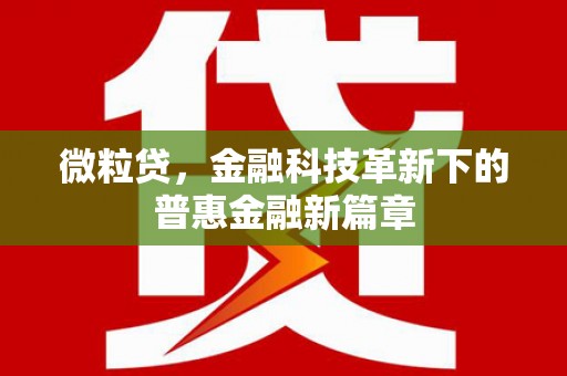 桐城微粒贷，金融科技革新下的普惠金融新篇章