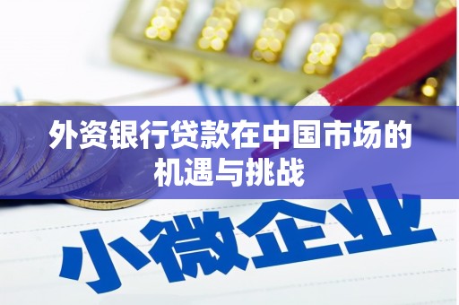 桐城外资银行贷款在中国市场的机遇与挑战