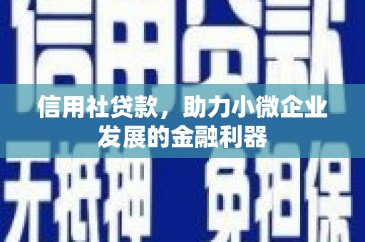 桐城信用社贷款，助力小微企业发展的金融利器