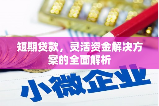 桐城短期贷款，灵活资金解决方案的全面解析