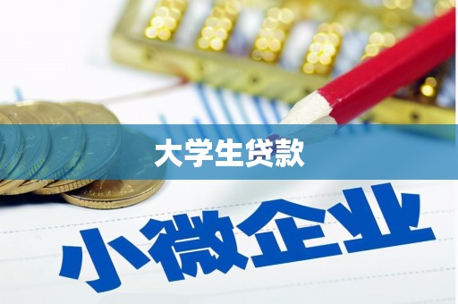 桐城大学生贷款