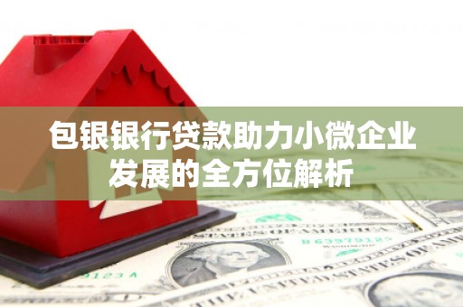桐城包银银行贷款助力小微企业发展的全方位解析