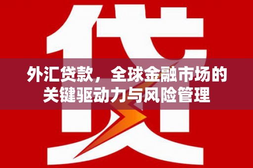 桐城外汇贷款，全球金融市场的关键驱动力与风险管理
