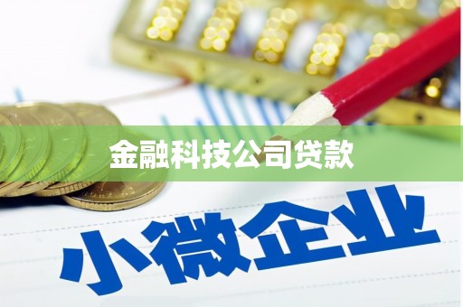 桐城金融科技公司贷款