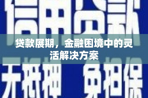 桐城贷款展期，金融困境中的灵活解决方案
