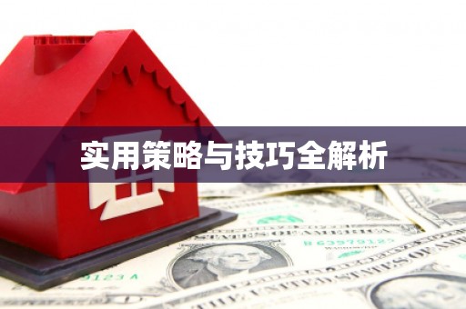 桐城实用策略与技巧全解析
