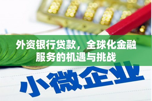 桐城外资银行贷款，全球化金融服务的机遇与挑战
