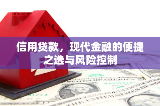 桐城信用贷款，现代金融的便捷之选与风险控制