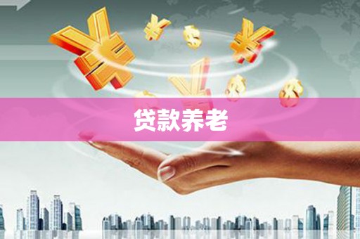 桐城贷款养老