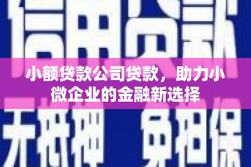 桐城小额贷款公司贷款，助力小微企业的金融新选择