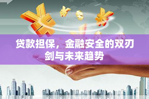 桐城贷款担保，金融安全的双刃剑与未来趋势