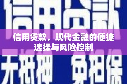 桐城信用贷款，现代金融的便捷选择与风险控制