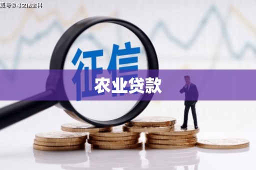 桐城农业贷款