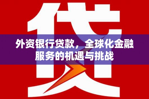 桐城外资银行贷款，全球化金融服务的机遇与挑战