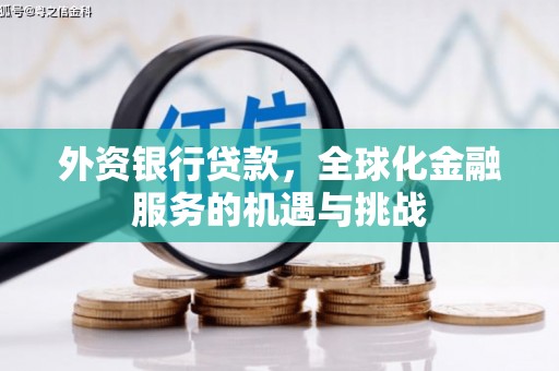 桐城外资银行贷款，全球化金融服务的机遇与挑战