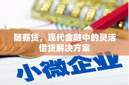 桐城随薪贷，现代金融中的灵活借贷解决方案