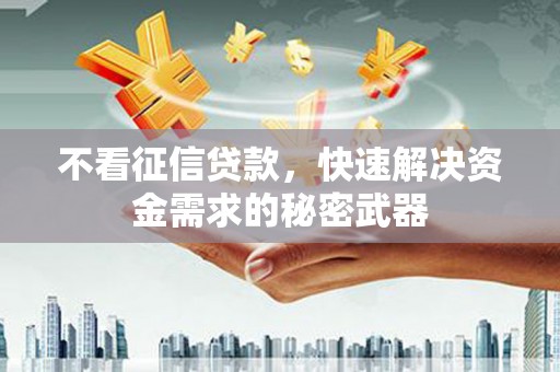桐城不看征信贷款，快速解决资金需求的秘密武器
