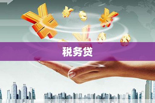桐城税务贷