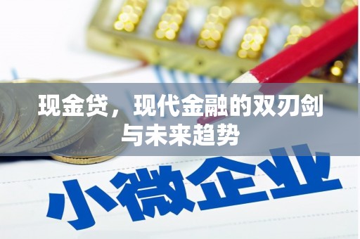 桐城现金贷，现代金融的双刃剑与未来趋势